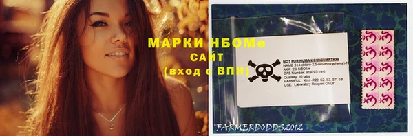PSILOCYBIN Алзамай
