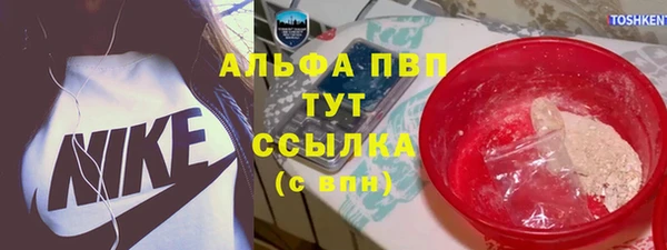 PSILOCYBIN Алзамай