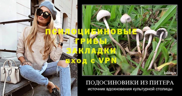PSILOCYBIN Алзамай